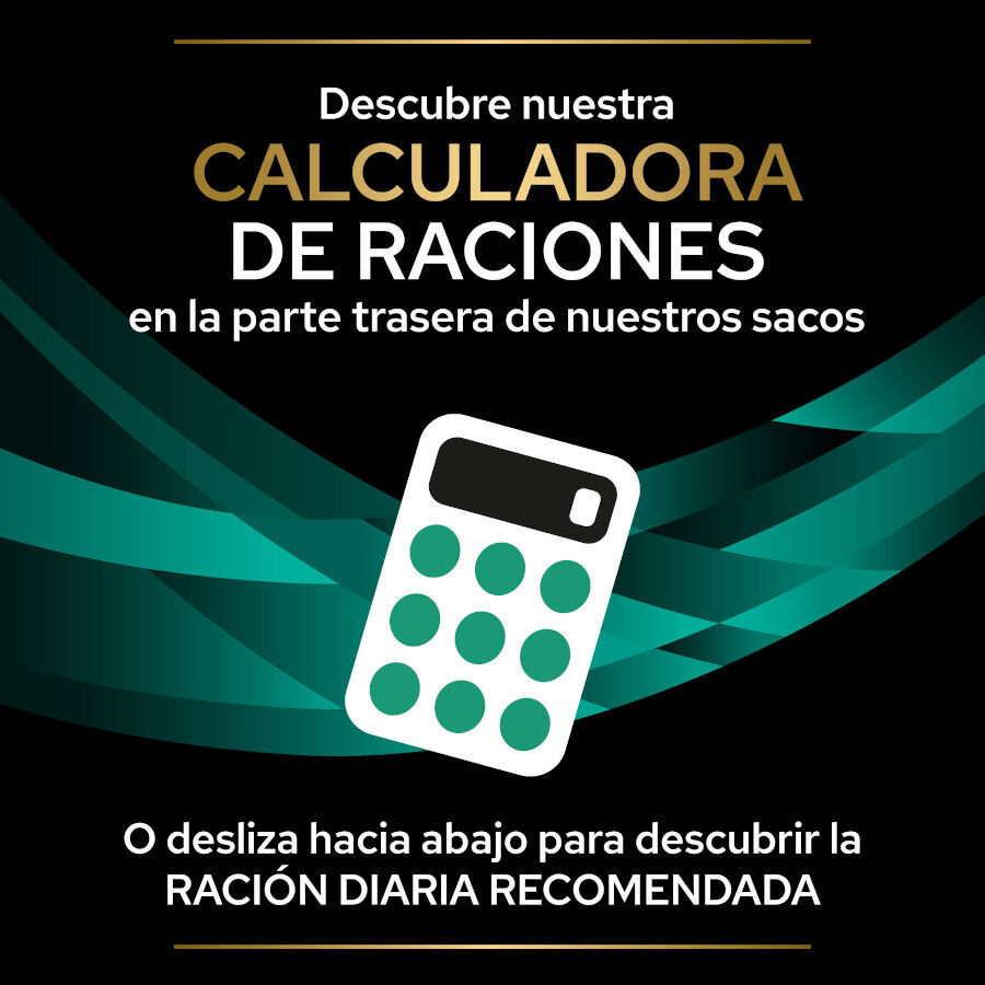 10 sobres x 85 g Pro Plan Veterinary Diets Feline En Gastrointestinal Salm&oacute;n en Salsa sobre para gatos, , large indicador imagen numero 7